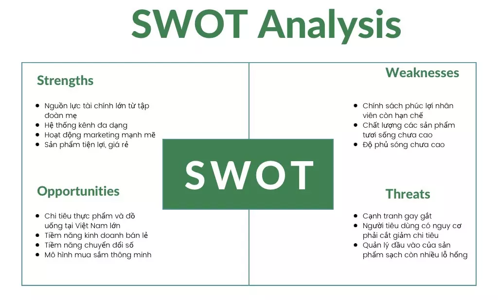 bách hóa xanh swot 